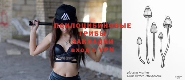 прущие крисы Белокуриха