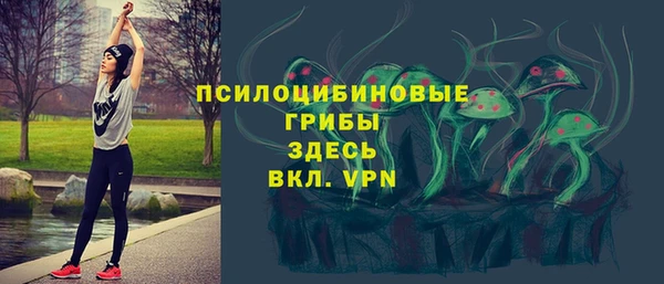 прущие крисы Белокуриха